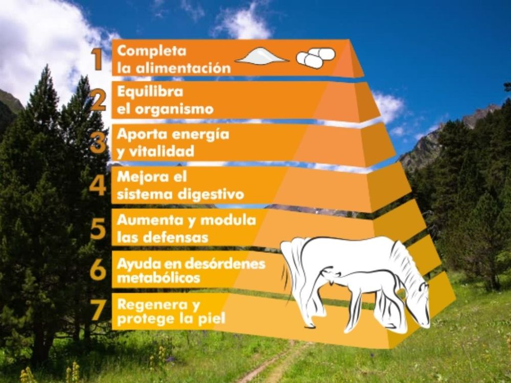 Propiedades eQuaid