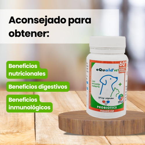probiótico para animales