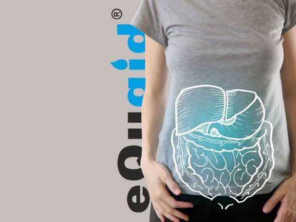 leche de yegua probiótico