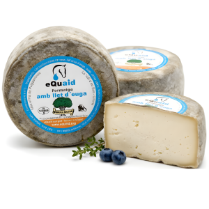 Queso de leche de yegua