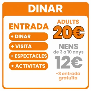 dinar portes obertes