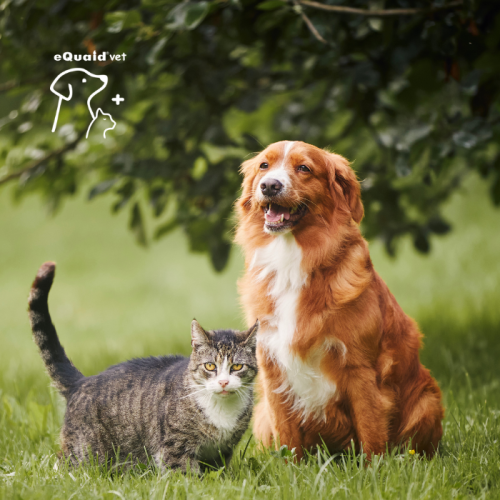 probiótico en capsulas para animales