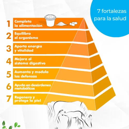 fortalezas probiótico eQuaid