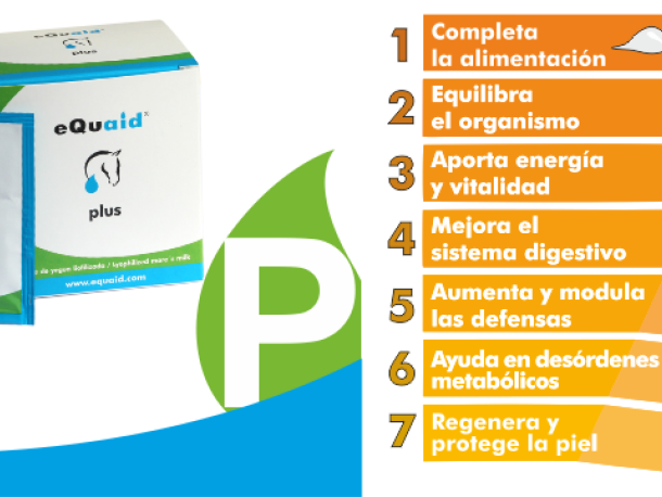 Cápsulas eQuaid Plus